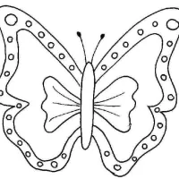 Borboleta