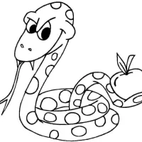 Cobra