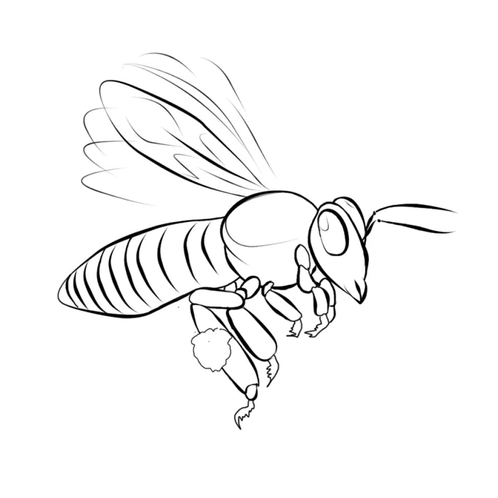 Desenho de Abelha para colorir e imprimir grátis