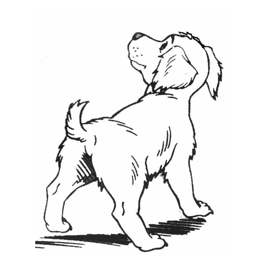 Desenho de Cachorro para colorir e imprimir grátis