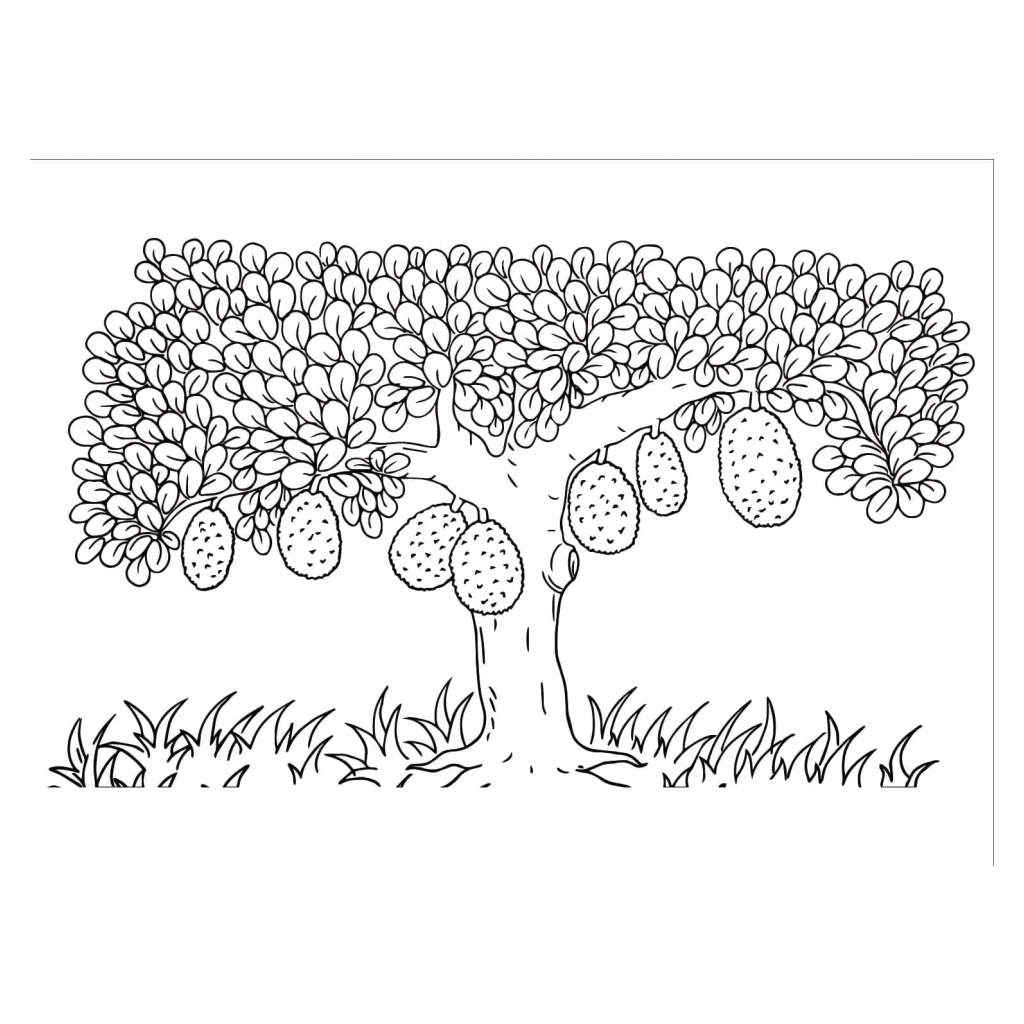 Desenho de Árvore De Jaca para colorir e imprimir grátis