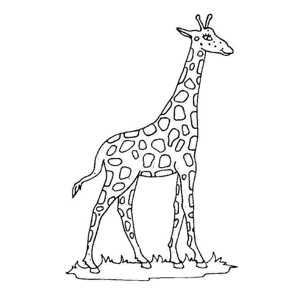 Desenho de Girafa para colorir e imprimir grátis
