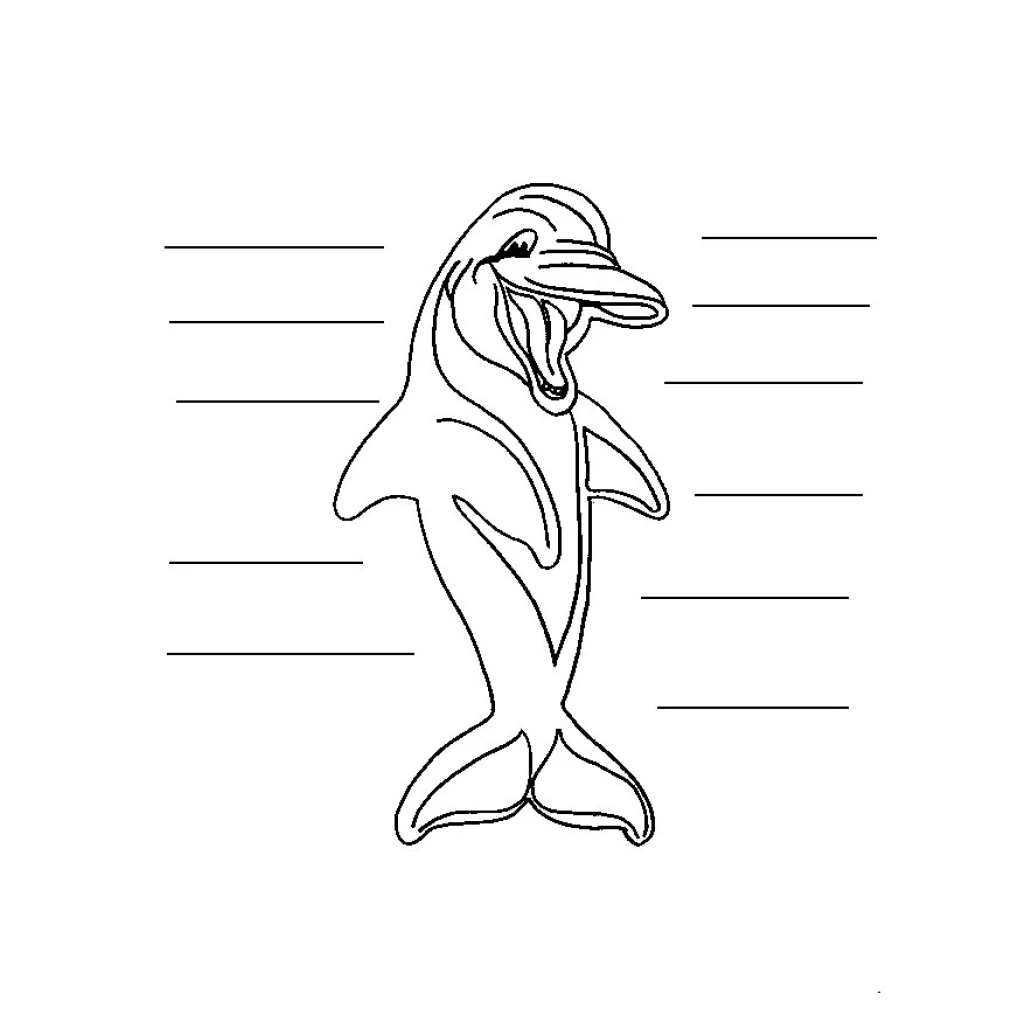 Desenho de Golfinho Feliz para colorir e imprimir grátis