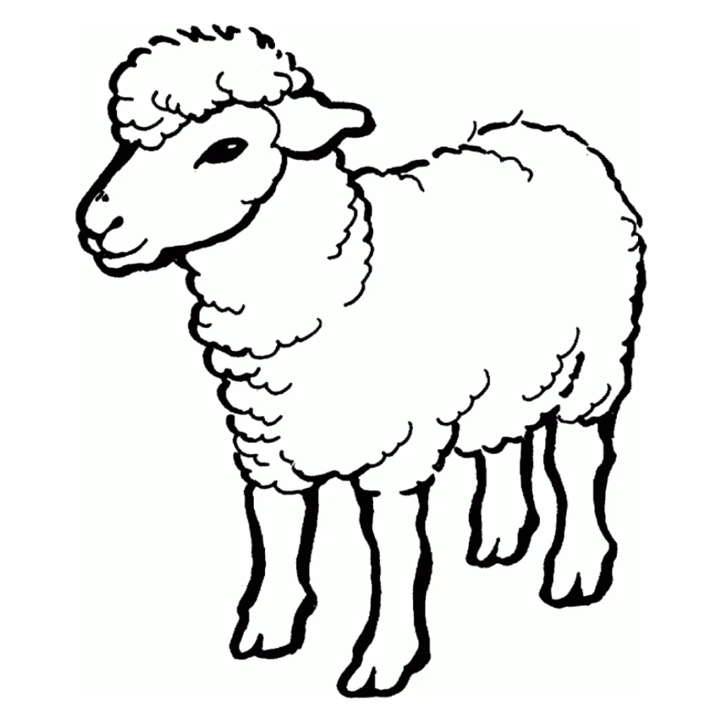 Desenho de Ovelha para colorir e imprimir grátis