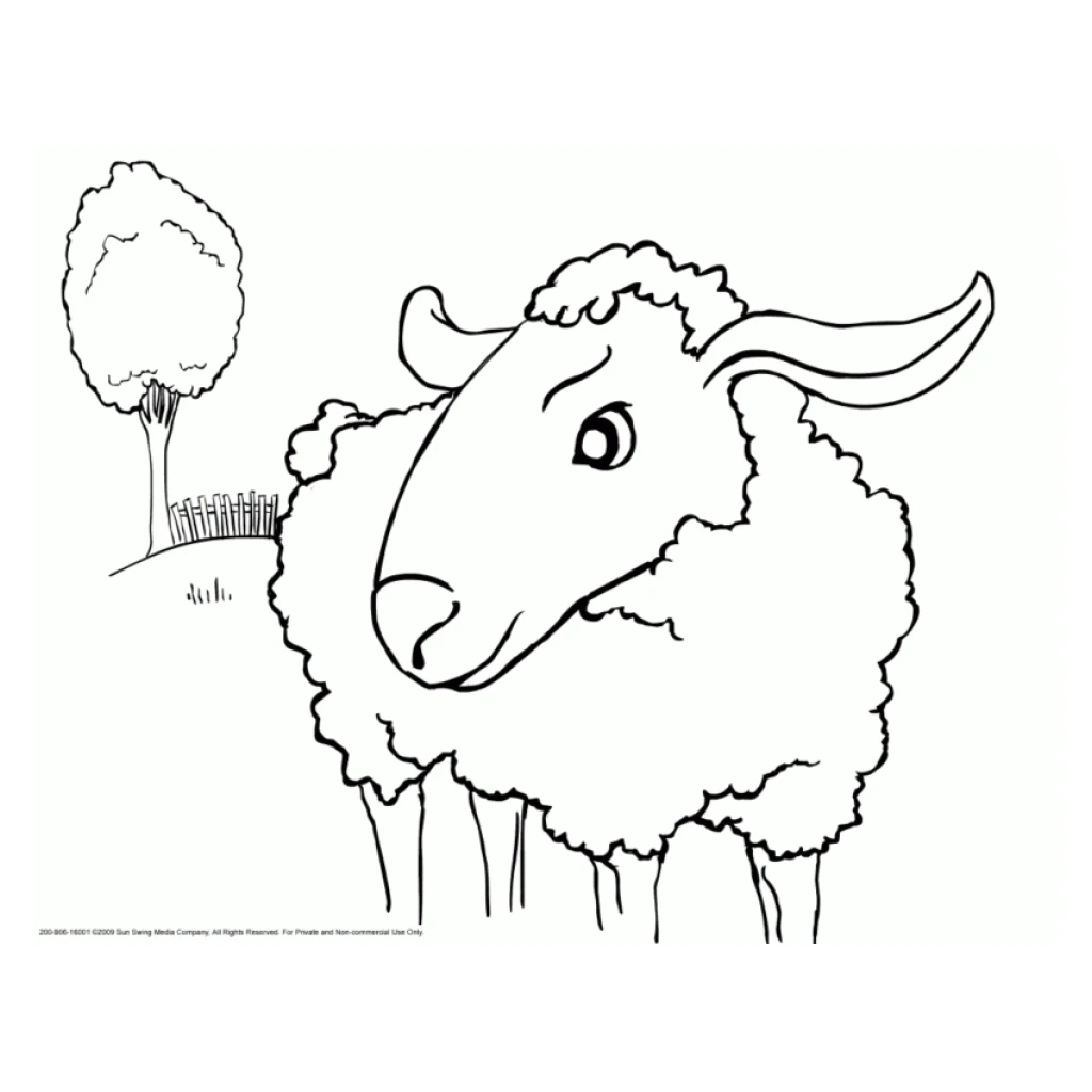 Sheep coloring page to print for free