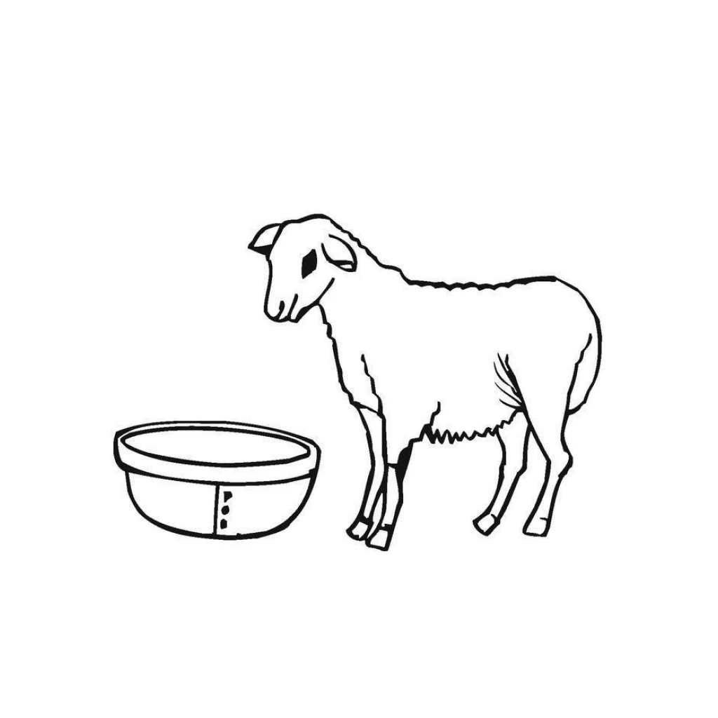 Desenho de Ovelha para colorir e imprimir grátis