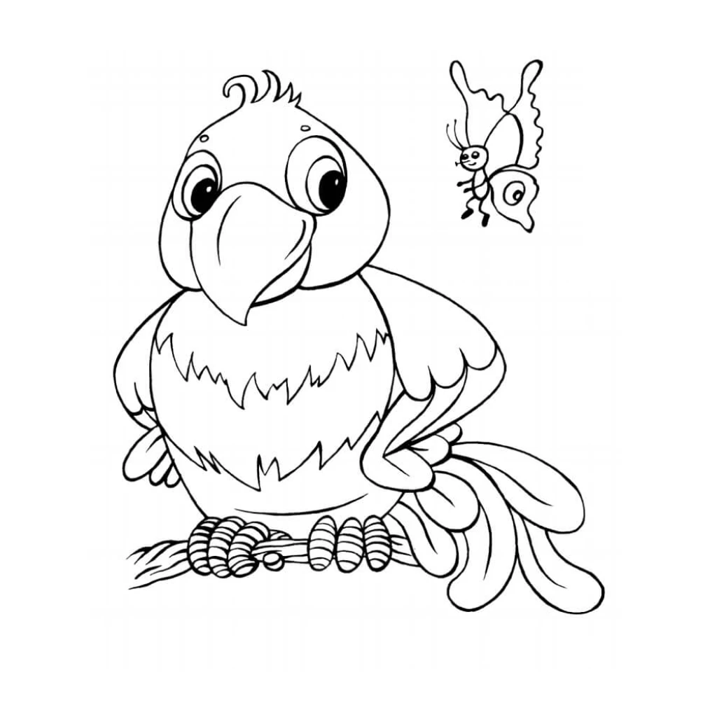 Desenho de Papagaio para colorir e imprimir grátis