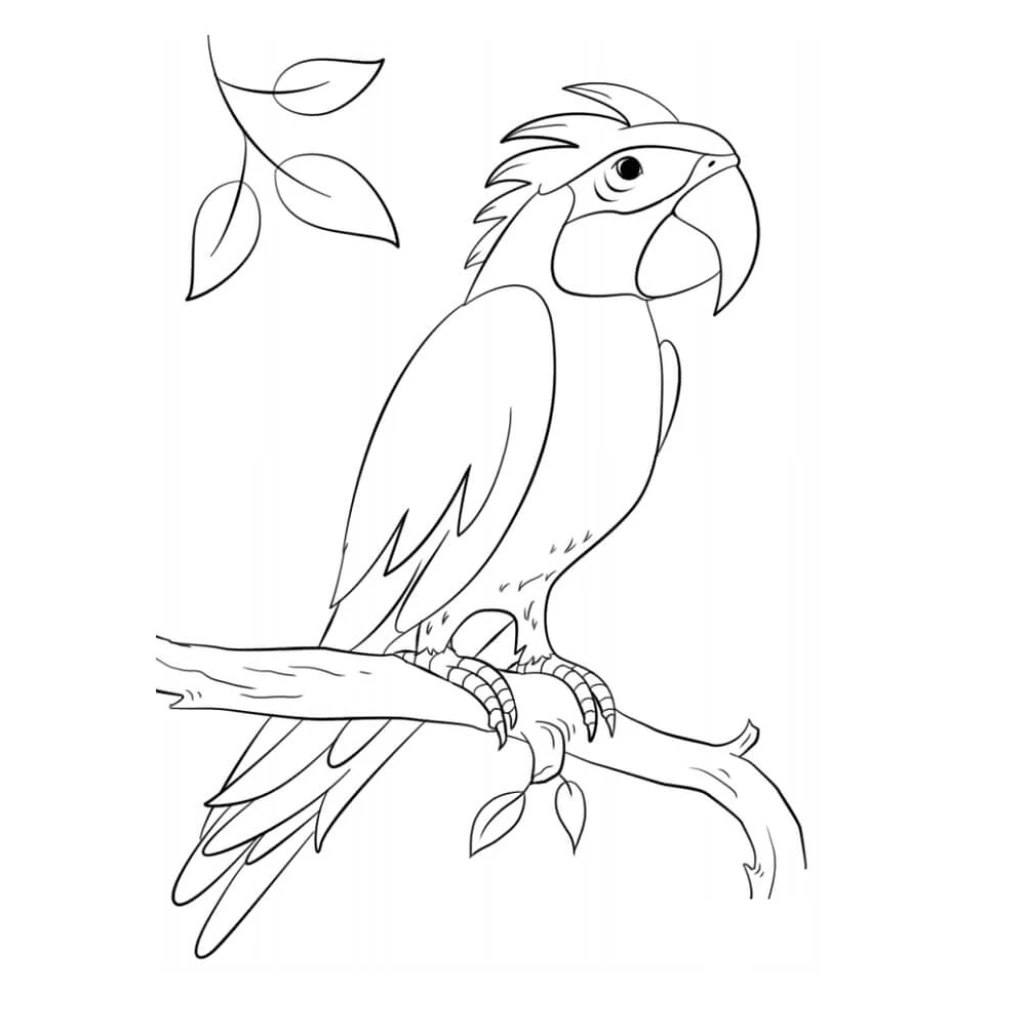 Desenho de Papagaio para colorir e imprimir grátis