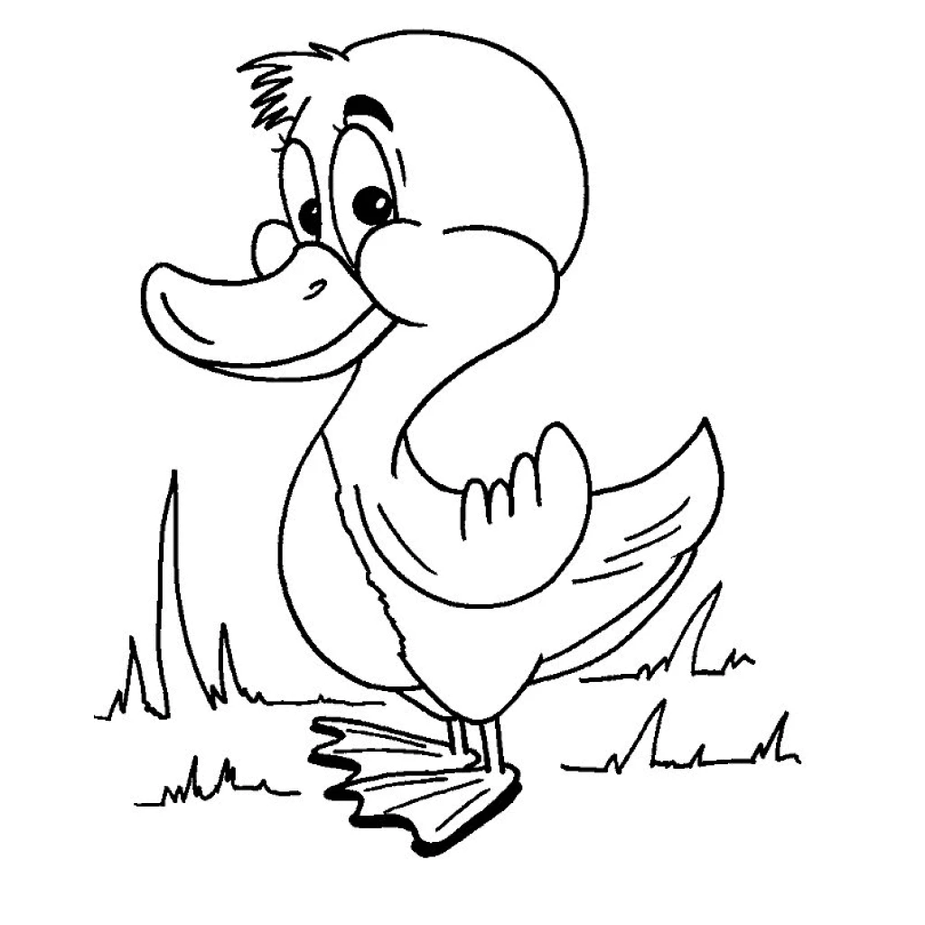 Desenho de Pato para colorir e imprimir grátis