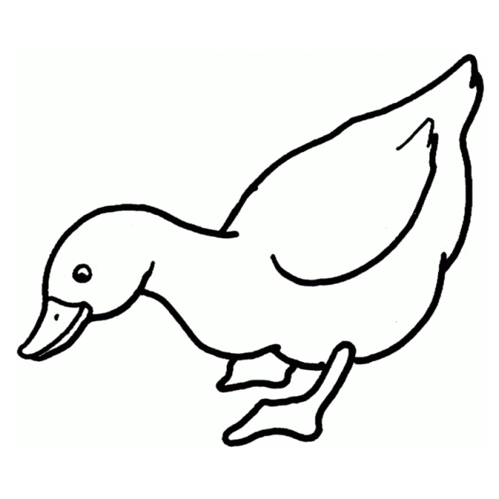 Desenho de Patinhos para colorir e imprimir grátis