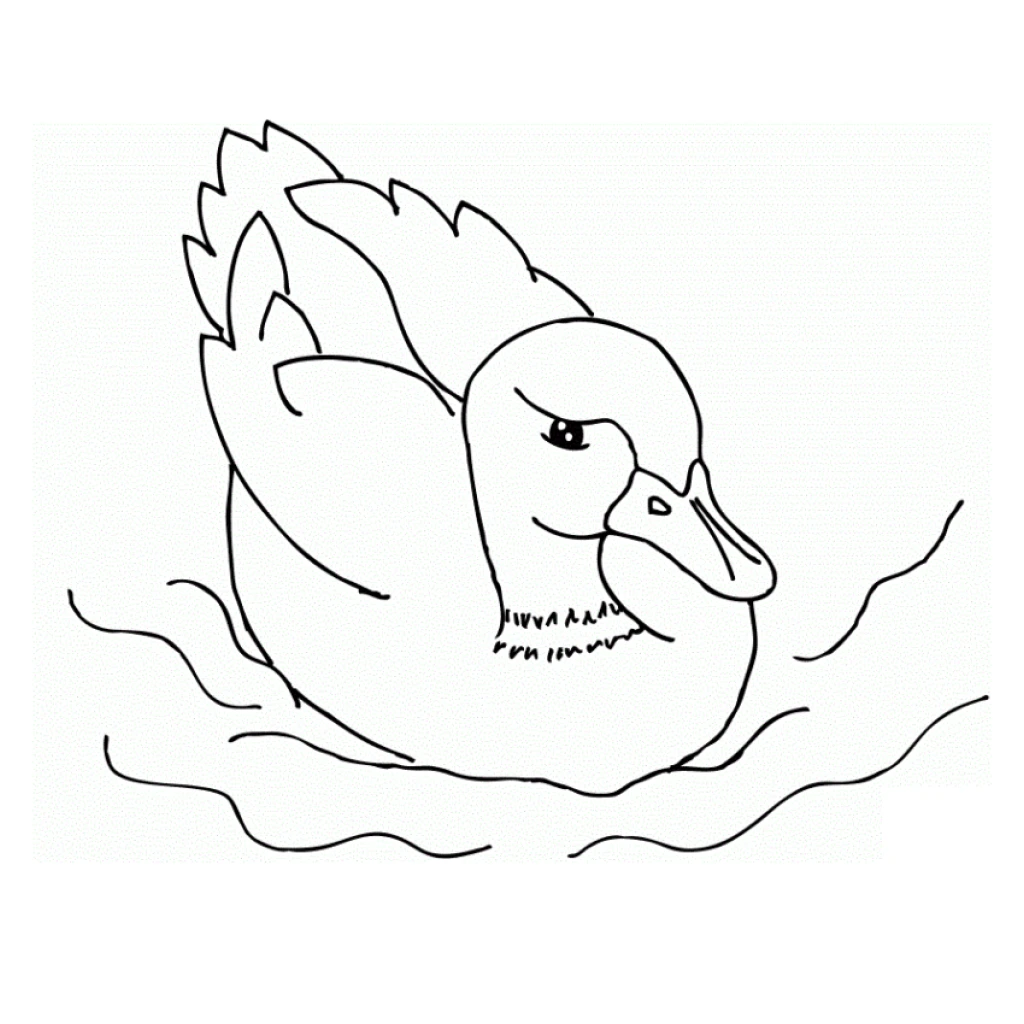 Duck coloring page to print for free