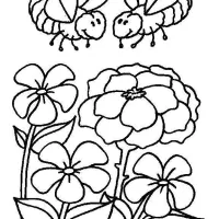 Abelhas E Flores