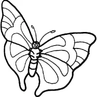 Borboleta
