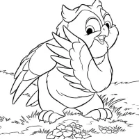 Coruja Fofa
