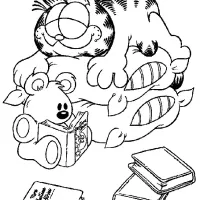 Gato Garfield Com Livros