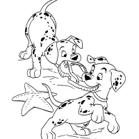 Cachorros Brincando