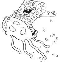 Bob Esponja Montando Uma Água Viva