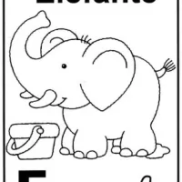 Elefante