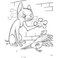 Gato E Pássaro