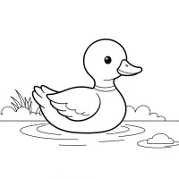 Pato Super Simples