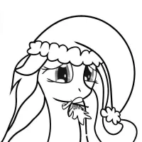 Pony Natalino