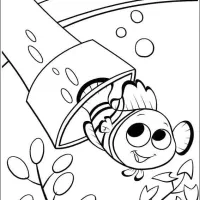 Peixe Nemo