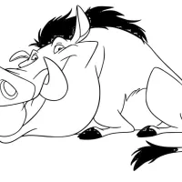 Pumba Hilariante