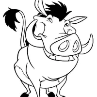 Javali Pumba