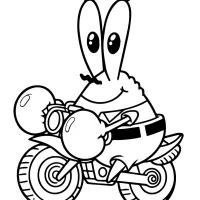 Sirigueijo Na Moto