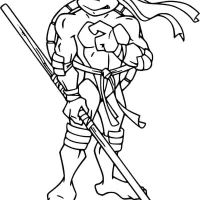 Tartaruga Ninja Donatello