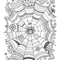 Teia De Aranha